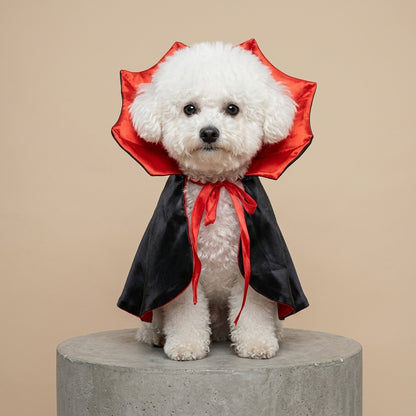 Cape de Vampire — Costume Dracula pour Chat & Petits Animaux
