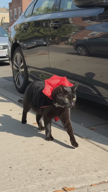 Cape de Vampire — Costume Dracula pour Chat & Petits Animaux