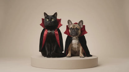 Cape de Vampire — Costume Dracula pour Chat & Petits Animaux
